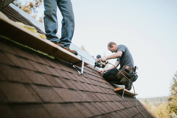 Best Roof Maintenance Services  in Dublin, VA